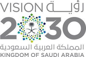 vision 2030